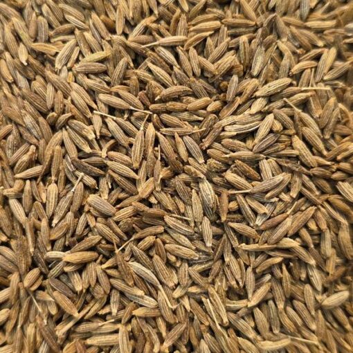 cumin graines