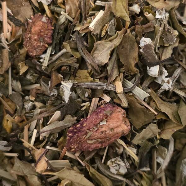 Jardin des sens thé blanc essencia comptoir le havre